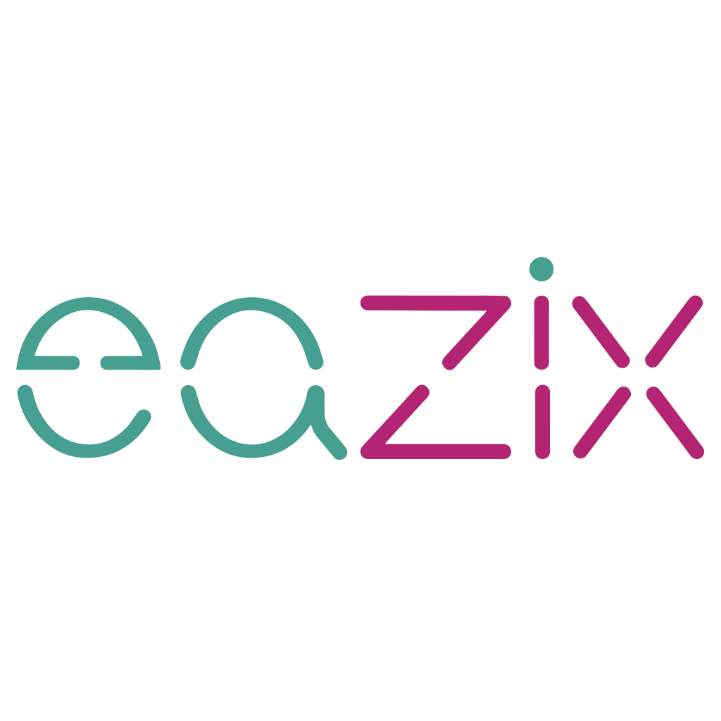 Eazix Logo